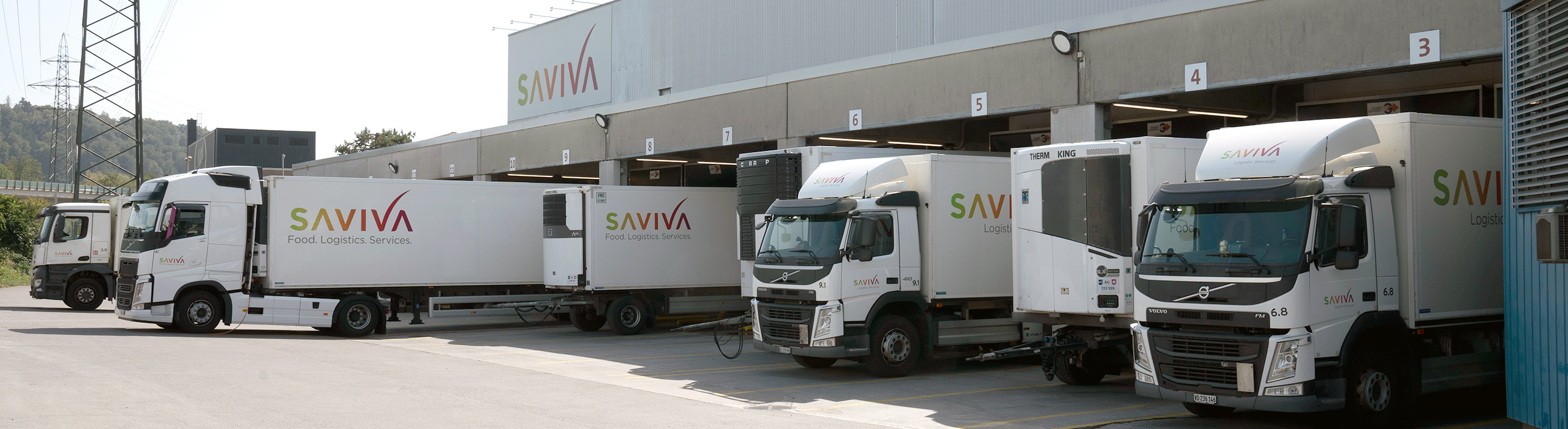 Logistics Services - Plattformen