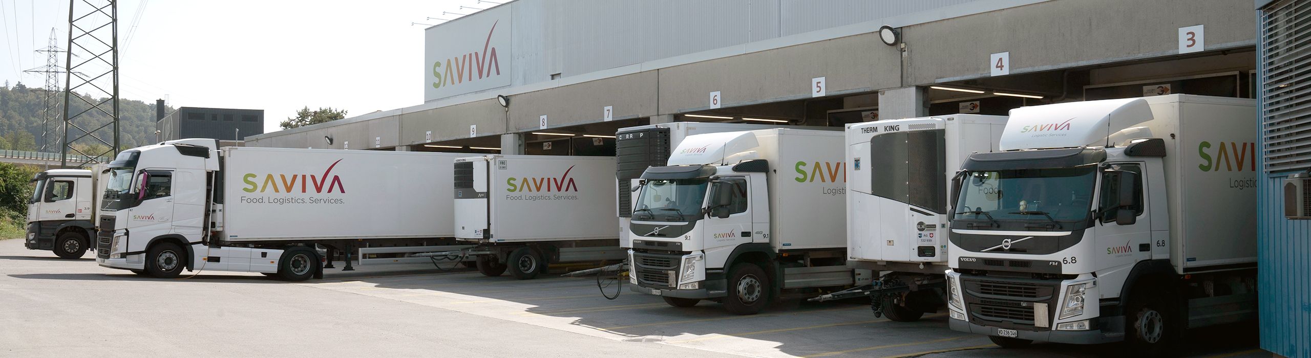 Logistics Services - Plattformen